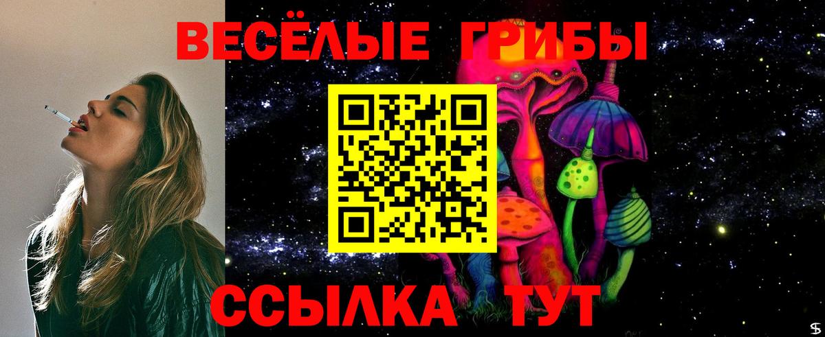 Псилоцибиновые грибы Psilocybe  Псилоцибиновые грибы прущие грибы  Вход с VPN  Соль-Илецк 